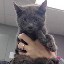 Thumbnail photo of Atina #2