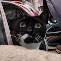 Thumbnail photo of Aaron #2