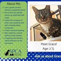 Thumbnail photo of Grace 57745 #3