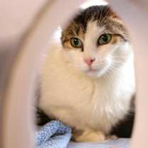 Thumbnail photo of Baby #1