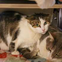 Thumbnail photo of Baby #2