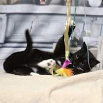 Thumbnail photo of Barbra Gordon #3