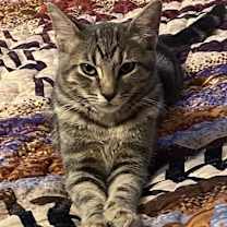 Thumbnail photo of Jett DM #1