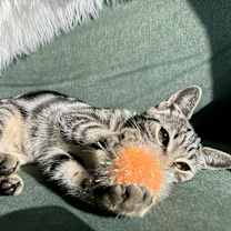 Thumbnail photo of Baby #4