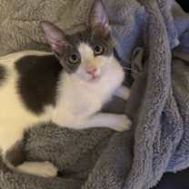 Thumbnail photo of Khalid #1