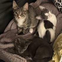 Thumbnail photo of Khalid #3