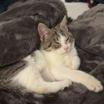 Thumbnail photo of Bobby Hill #2