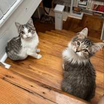 Thumbnail photo of Bobby Hill #3