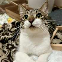 Thumbnail photo of Miss Ally #1