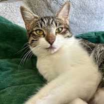 Thumbnail photo of Miss Ally #3