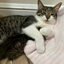 Thumbnail photo of Miss Ally #4