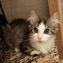 Thumbnail photo of Clark #3