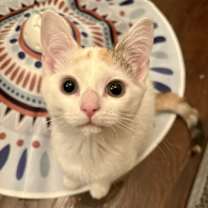 Thumbnail photo of Ellen #2