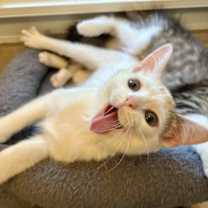 Thumbnail photo of Ellen #3