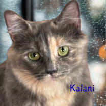 Thumbnail photo of Kalani-Mom #1