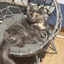 Thumbnail photo of Kalani-Mom #2