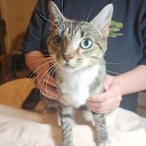 Thumbnail photo of Hillary #2