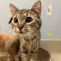 Thumbnail photo of Darryl #1