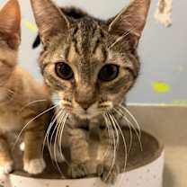 Thumbnail photo of Darryl #2