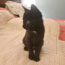 Thumbnail photo of Mabel #4