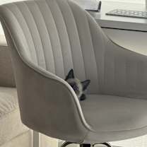 Thumbnail photo of Charlie #2