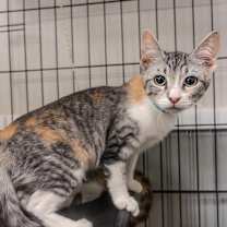 Thumbnail photo of Kelsey  #1