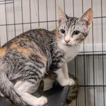 Thumbnail photo of Kelsey  #2