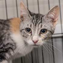 Thumbnail photo of Kelsey  #3