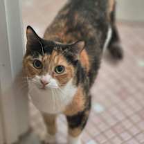 Thumbnail photo of Junie #1