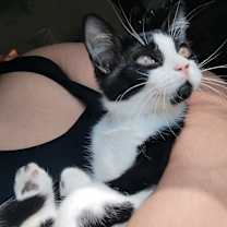 Thumbnail photo of Little Man #1