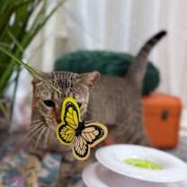 Thumbnail photo of Berlin #3