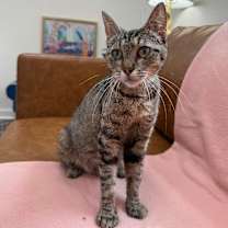 Thumbnail photo of Faith Montes #1