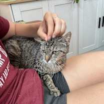 Thumbnail photo of Faith Montes #2