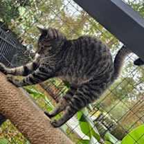 Thumbnail photo of Faith Montes #3