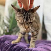 Thumbnail photo of Faith Montes #4