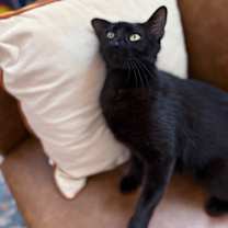 Thumbnail photo of Easter Montes #2