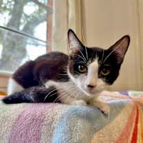 Thumbnail photo of Rory Rosie #1