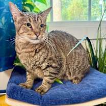 Thumbnail photo of Kat Delgado #1