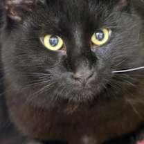 Thumbnail photo of Mr. Meyah #2