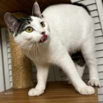 Thumbnail photo of Agnes #3