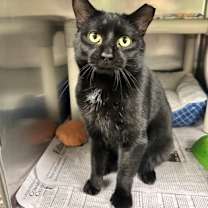 Thumbnail photo of Walter #1