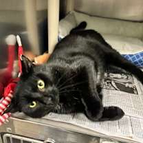 Thumbnail photo of Walter #2