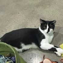 Thumbnail photo of Libbi #1