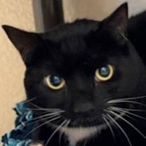 Thumbnail photo of Maggie #1