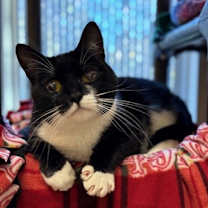 Thumbnail photo of Max #2