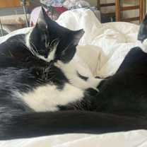 Thumbnail photo of Libbi #2