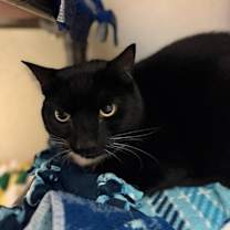 Thumbnail photo of Maggie #2