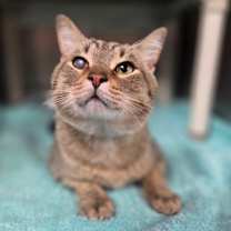 Thumbnail photo of Nicholas #1