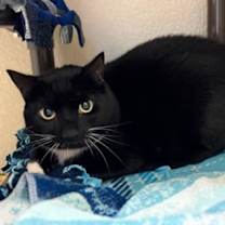 Thumbnail photo of Maggie #3