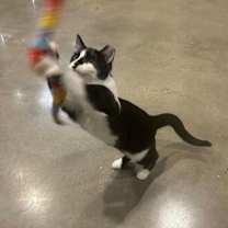 Thumbnail photo of Libbi #3